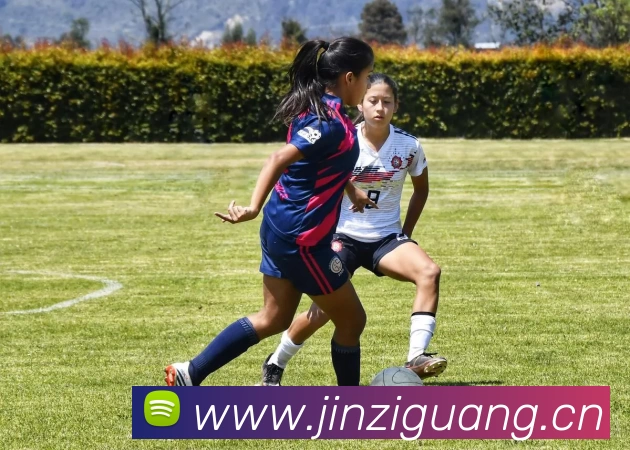 开云官方版网站登录入口 - 开云online(中国)发展历程